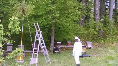 Le métier d'apiculteur