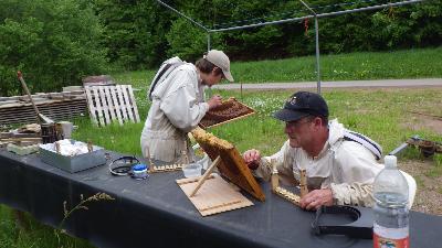 La valeur apicole du rucher par l'estimation du potentiel nectarifère